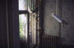 DDR. Zimmerecke mit Efeuranke, gußeisernem Heizkörper und Neondeckennleuchte in einer Wohnung in Berlin-Pankow