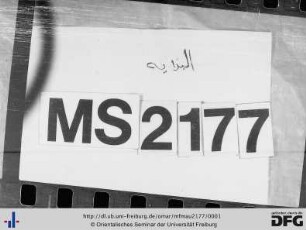MF Mau 2177