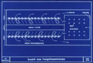 Grundriß eines Fischgrätenmelkstandes