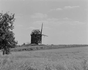 Jesewitz