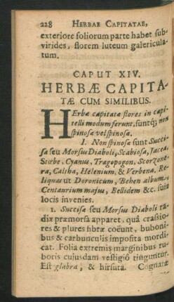 Caput XIV. Herbae Capitatae Cum Similibus.