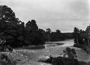 Fluss auf Sumatra : Blick auf einen Fluss mit Kies und Geröll in einem Urwald.