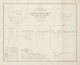 Plan über den Gemeinde-Wald von Tüllingen auf der dortigen und den Gemarkungen Oetlingen und Haltingen