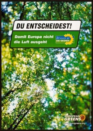 Bündnis 90/Die Grünen, Europawahl 2004