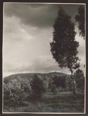 Hermannsdenkmal vom Bent gesehen. Detmold. Hiddesen