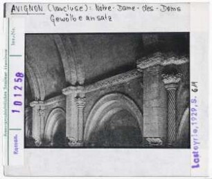 Avignon: Notre-Dame-des-Doms, Gewölbeansatz