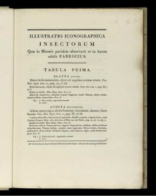 Illustratio Iconographica Insectorum Tabula Prima [bis] Tabula X. [Abbildungsbeschreibung siehe arabische Paginierung]
