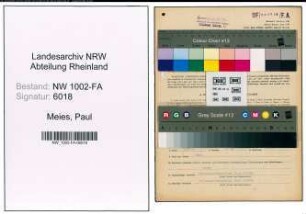 Entnazifizierung Paul Meies, geb. 28.09.1889 (Einkaeufer)