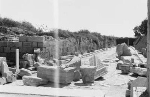 Ruinen von Leptis Magna : Blick über Säulen und Ruinen