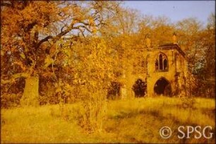 Potsdam, Park Babelsberg, Parkansicht mit Gerichtslaube.