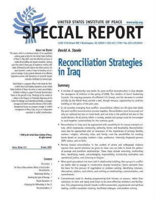 Reconciliation strategies in Iraq