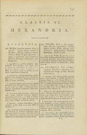 Classis VI. Hexandria.
