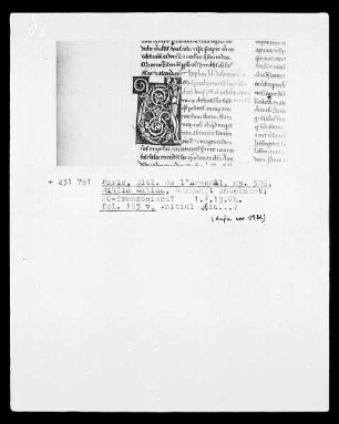 Biblia Latina: Fol. 163 v: Initiale Q