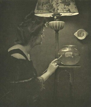 Das Goldfisch-Glas