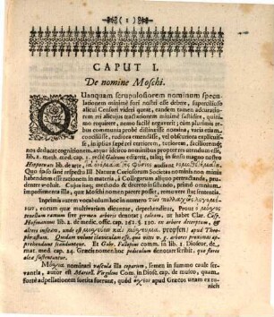 Historia moschi