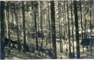 Soldatenlager im Wald