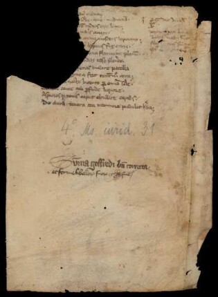 Vorderer Spiegel (Fragment)