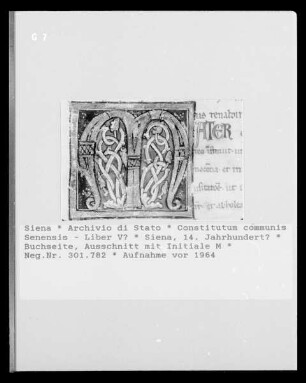 Constitutum communis Senensis - Liber V?