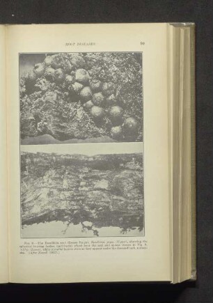 Fig. 8-9