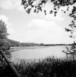 Herrenteich: Blick von Ostufer auf oberen Abschnitt, vorne Schilf: links Rohrleitung neben Holzbrücke am Fischhuser Damm: im Hintergrund Westufer: am Bildrand rechts oben überhängende Zweige