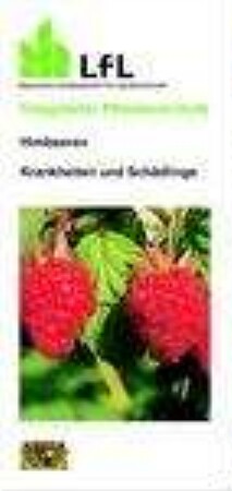 Himbeeren : Krankheiten und Schädlinge