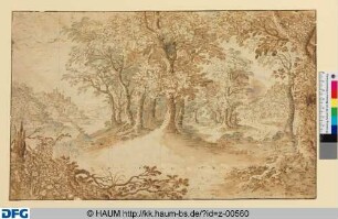 Baumgruppe auf einem Hügel, Weggabelung mit Bäumen und Sträuchern