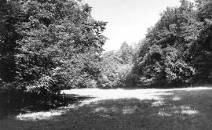 Hirschfelde-Schlegel. Im Kemlitztal nahe der ehem. Mühle