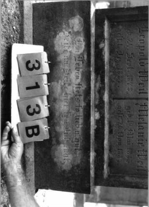 Grabstein 313 (Index: 99797874) Material: Sandstein, weiß Zustand: leicht verwittert Maße HxBxT: 120x70x17 cm Beschreibung: Doppelstele Symbolik: Palmblatt, Dreipaß: Grabstein 313B