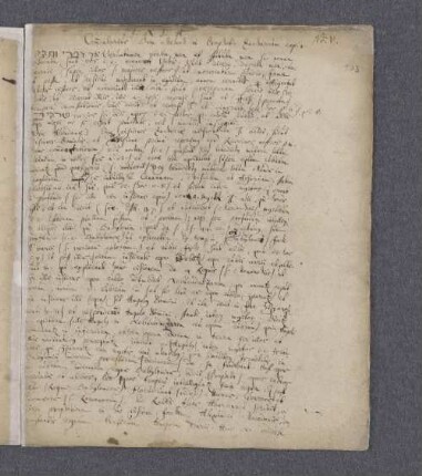 VIII. [Commentarius [Rabbi Salomonis] ben Melech in Zach.]
