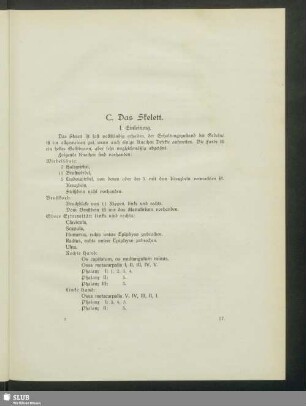 C. Das Skelett