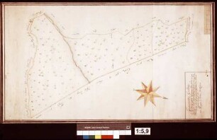 Limpurg-Speckfeldischer Forst