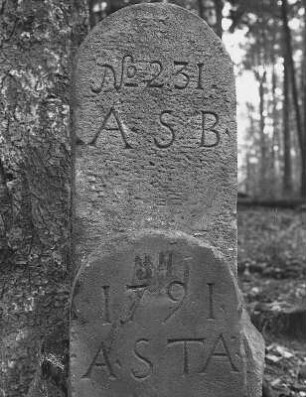 17 Grenzsteine - Justizamts- und Gerichtsgrenzen; Waldkappel, Kabinetswald