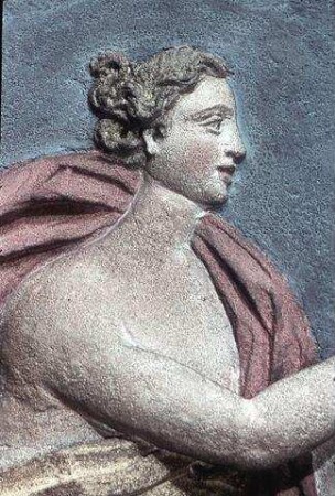Die sieben Kardinaltugenden, Wappenschilde und Ornamente