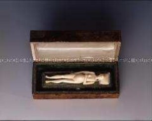 Anatomisches Lehrmodell einer schwangeren Frau