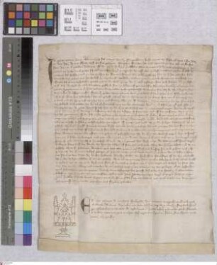 Leeheim: Notariatsinstrument Zeugenverhör über des Klosters Eberbach Schafweide