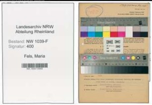 Entnazifizierung Maria Fels , geb. 02.05.1907 (Buchhalterin)