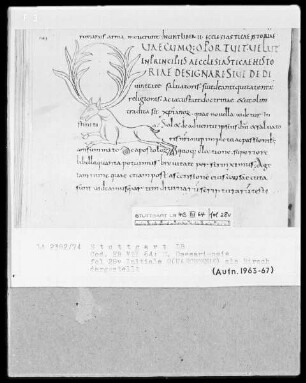 Eusebius Caesariensis, Historia Ecclesiastica — Initiale Q (uaecumque) als Hirsch, Folio 28verso