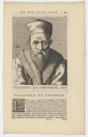 Bildnis des Polidoro da Caravagio