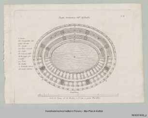 Abbildungen des römischen Amphitheaters in Arezzo : Grundriss des römischen Amphitheaters von Arezzo