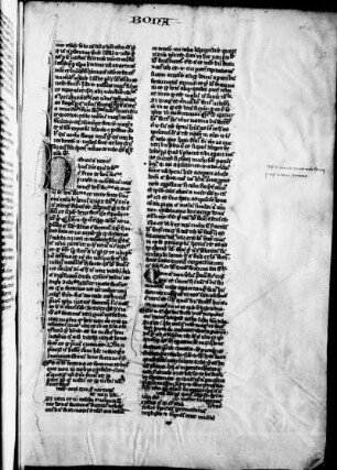 De bona fortuna (2)