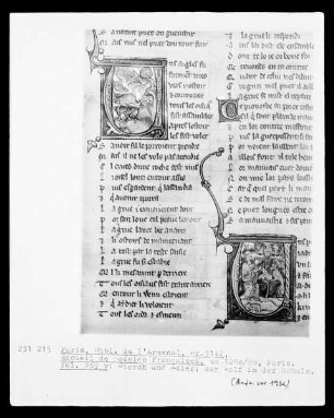 Recueil de poésies françaises: Fol. 269 v, Initiale U: Storch und Adler