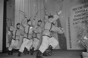 Kulturprogramm anlässlich des III. Bundeskongresses der Domowina in Bautzen : Kulturny program na III. Zwjazkowym kongresu Domowiny w Budyšinje : Bautzen / Budyšin