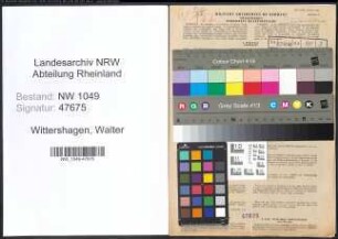 Entnazifizierung Walter Wittershagen , geb. 21.01.1910 (Zimmerer)