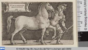 Alexander der Große und sein Pferd Bucephalus