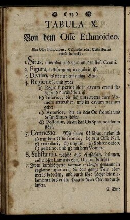 Tabula X. Von dem Osse Ethmoideo.