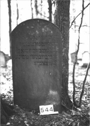 Grabstein 544 (Index: 99900808) Material: Sandstein Zustand: gut erhalten Maße HxBxT: 109x57x9 cm Beschreibung: Stele mit Segmentbogenabschluss: Grabstein 544