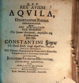 Rex avium aquila dissertatione physica repraesentatus