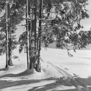 Landschaftsbild. Schneelandschaft.