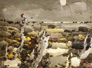 Landschaft mit verdorrten Disteln