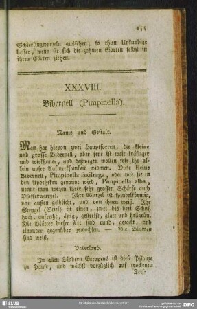 XXXVIII. Bibernell (Pimpinella)